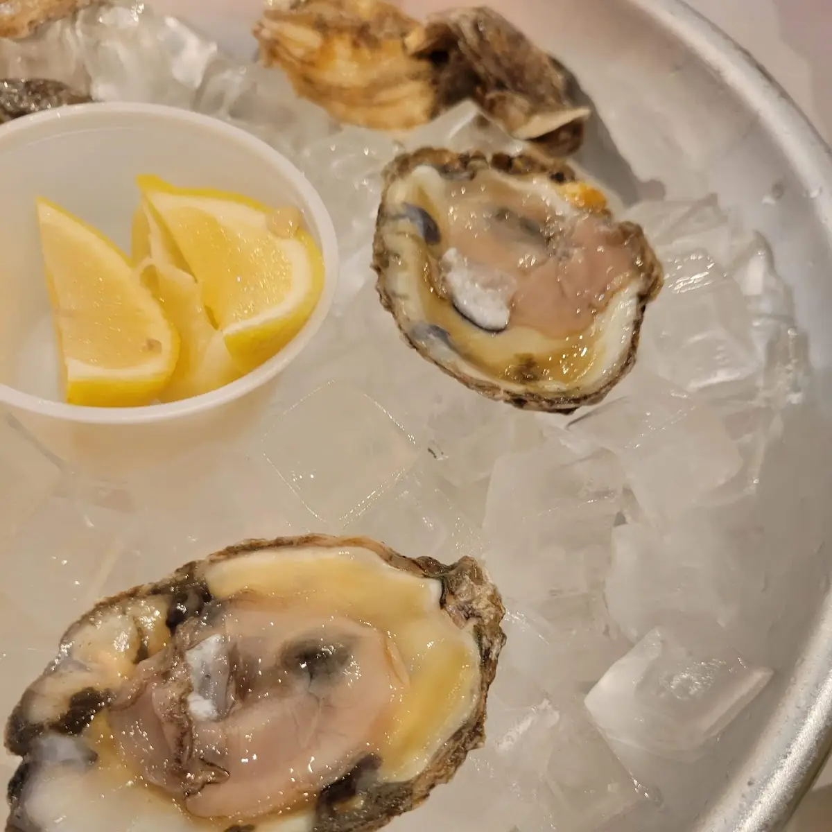 Raw Oysters