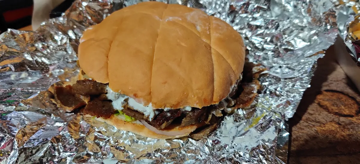 Shawarma Sandwich