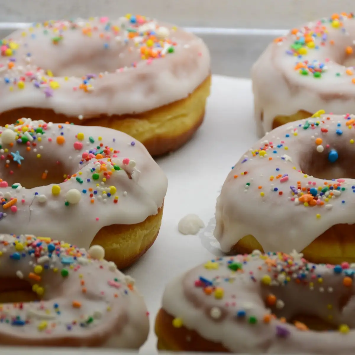 Doughnut
