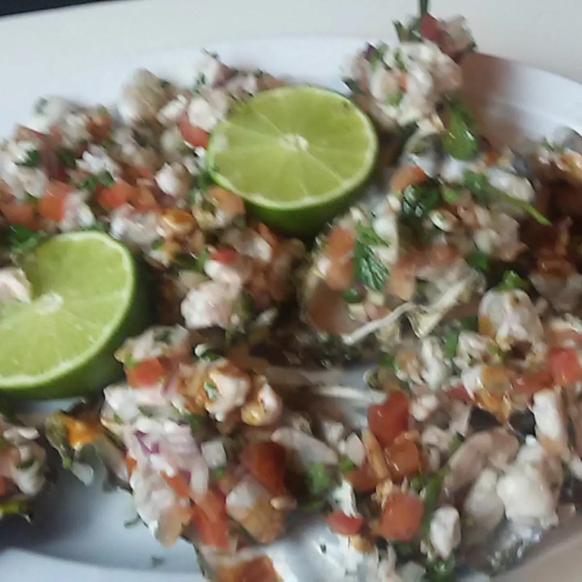 Ceviche
