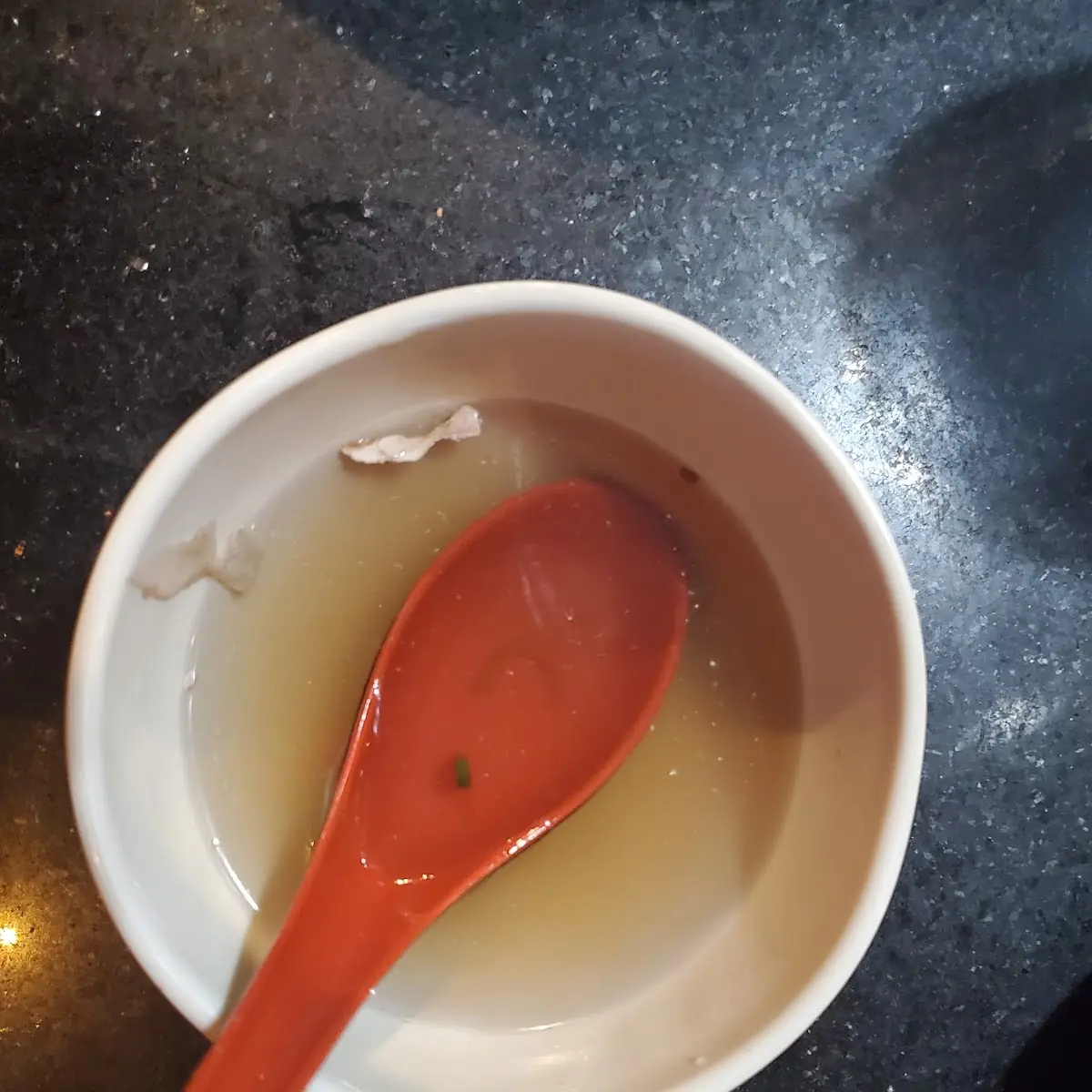 Onion Soup