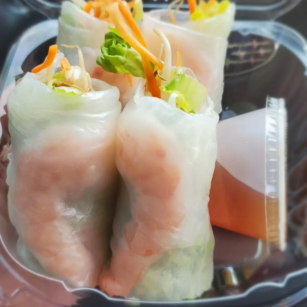 Spring Rolls 2