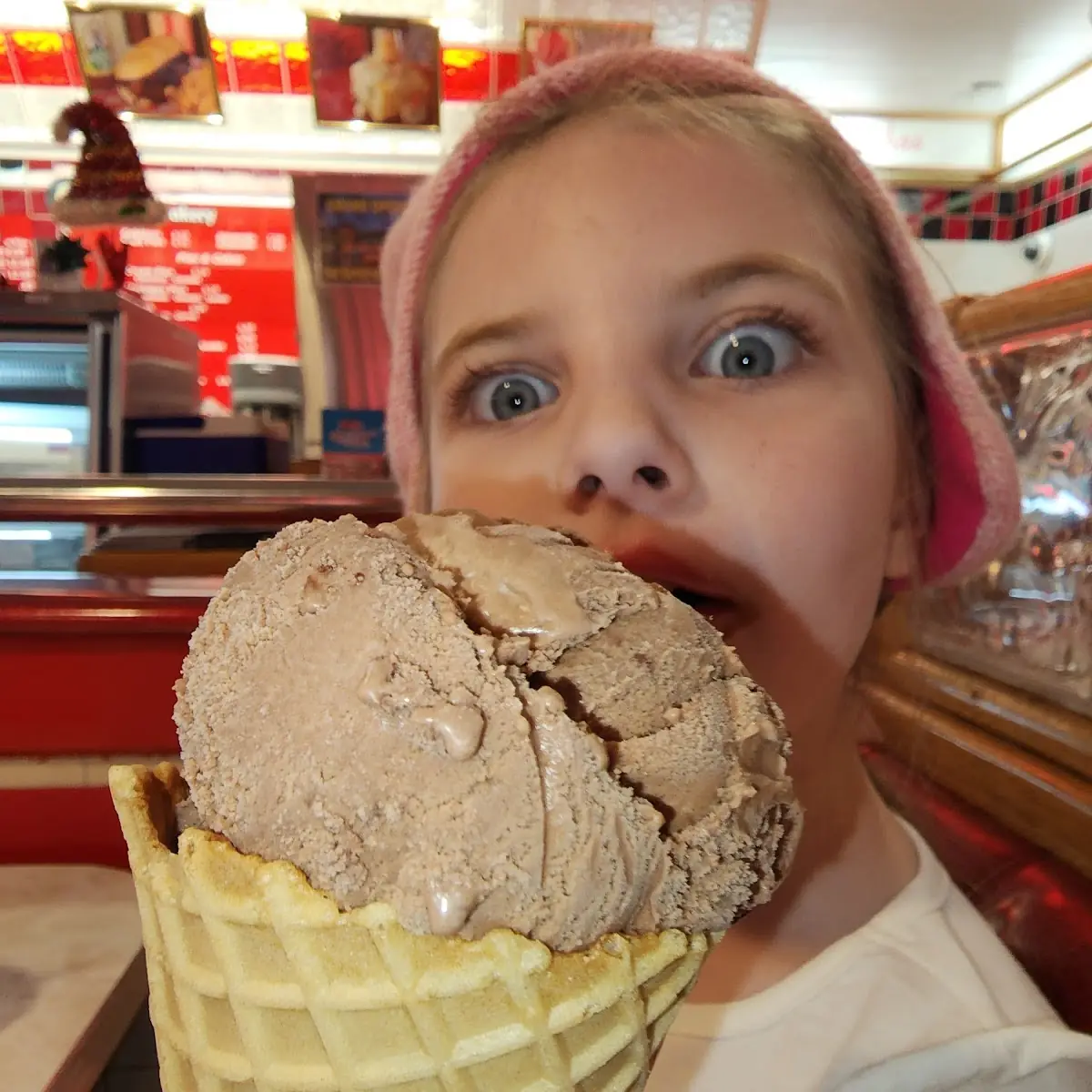 Chocolate Ice Cream