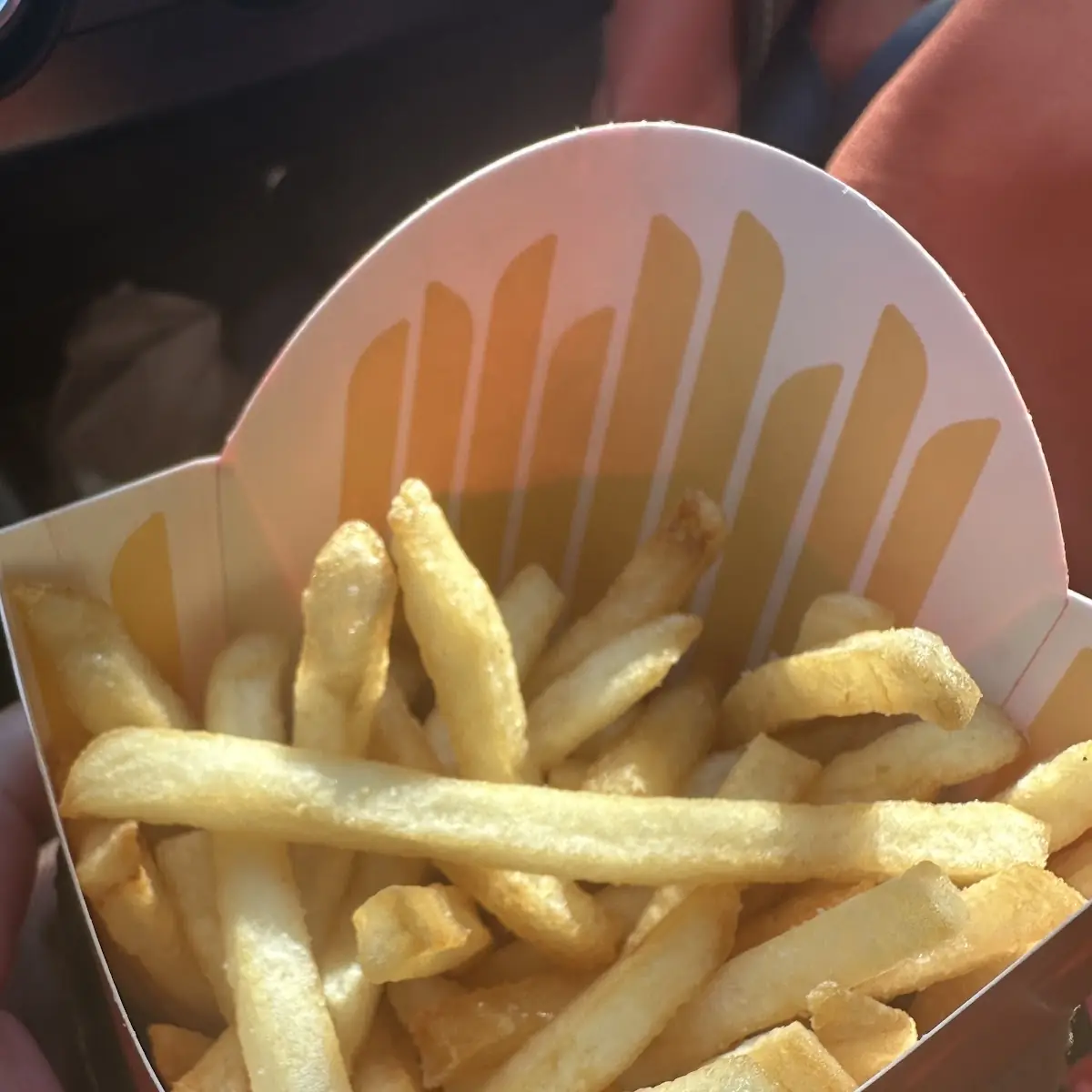 World Famous Fries