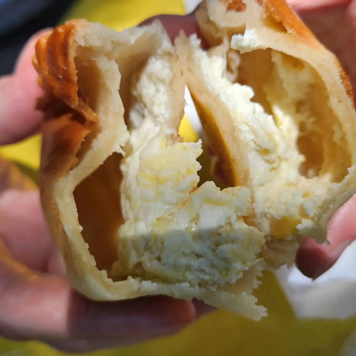 Artichoke Dip Empanadas