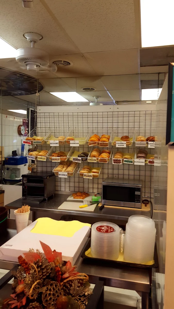 Different Types of Bagels