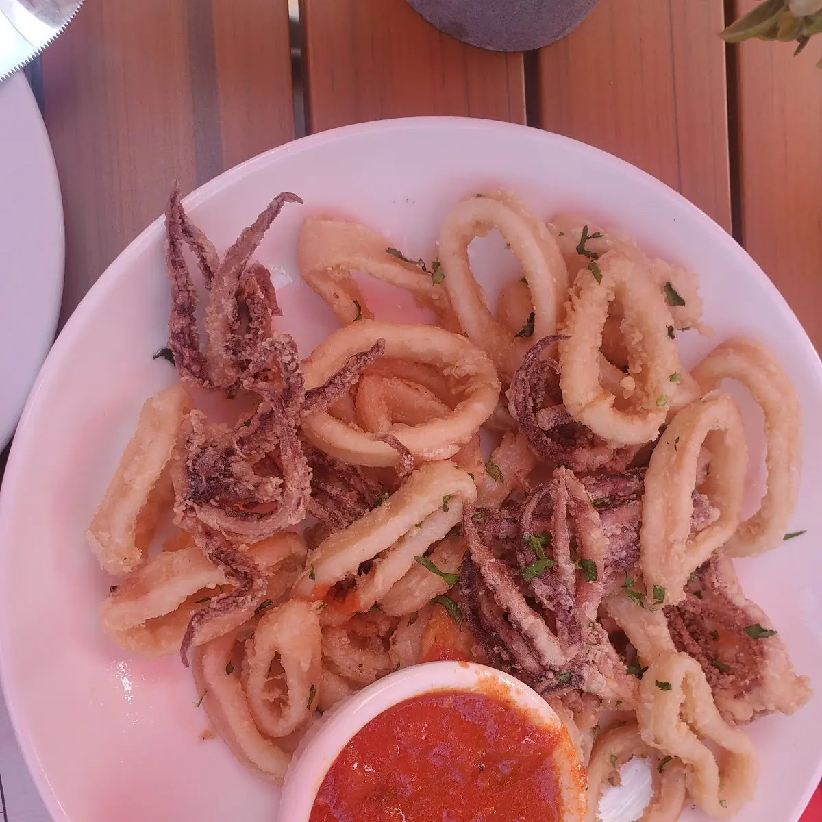 Calamari Fritti