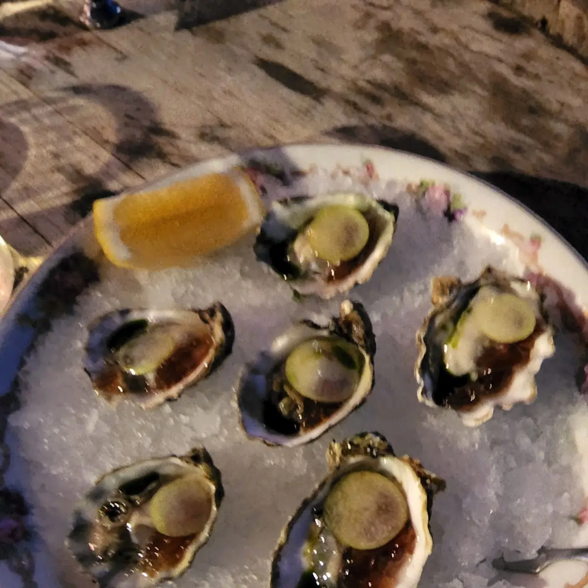 Oysters on the Half Shell