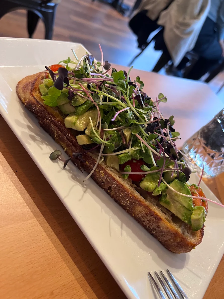 Avocado Toast