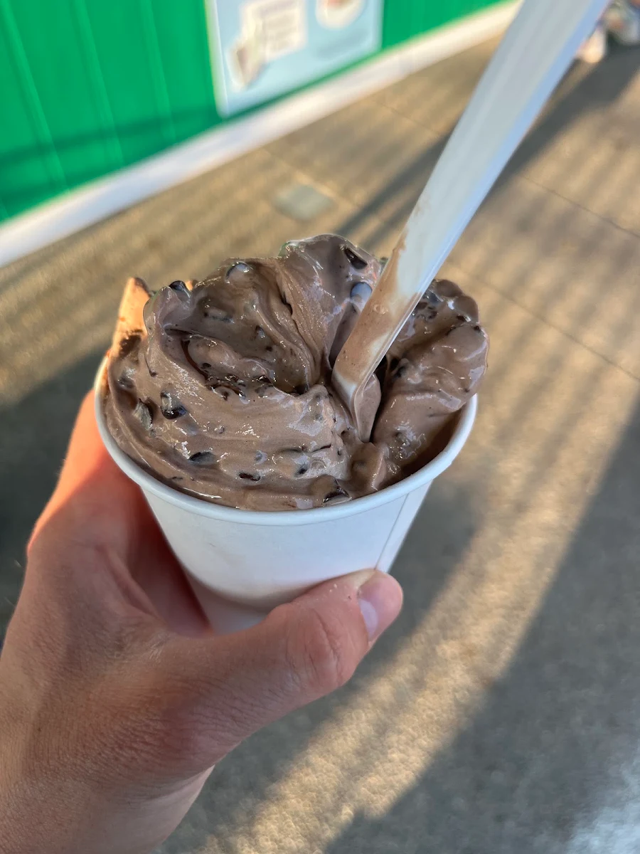 Chocolate Ice Cream