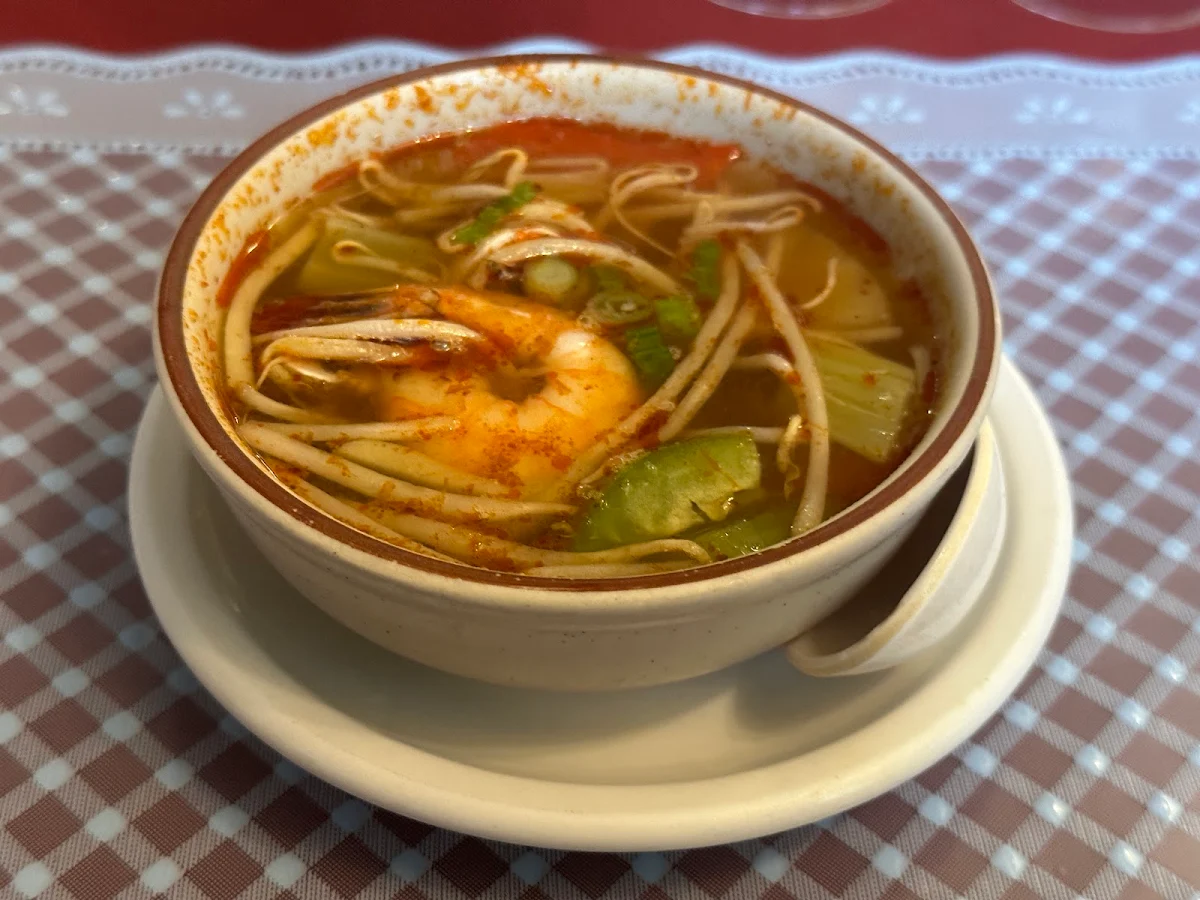 Spicy Sour Curry Noodle Soup