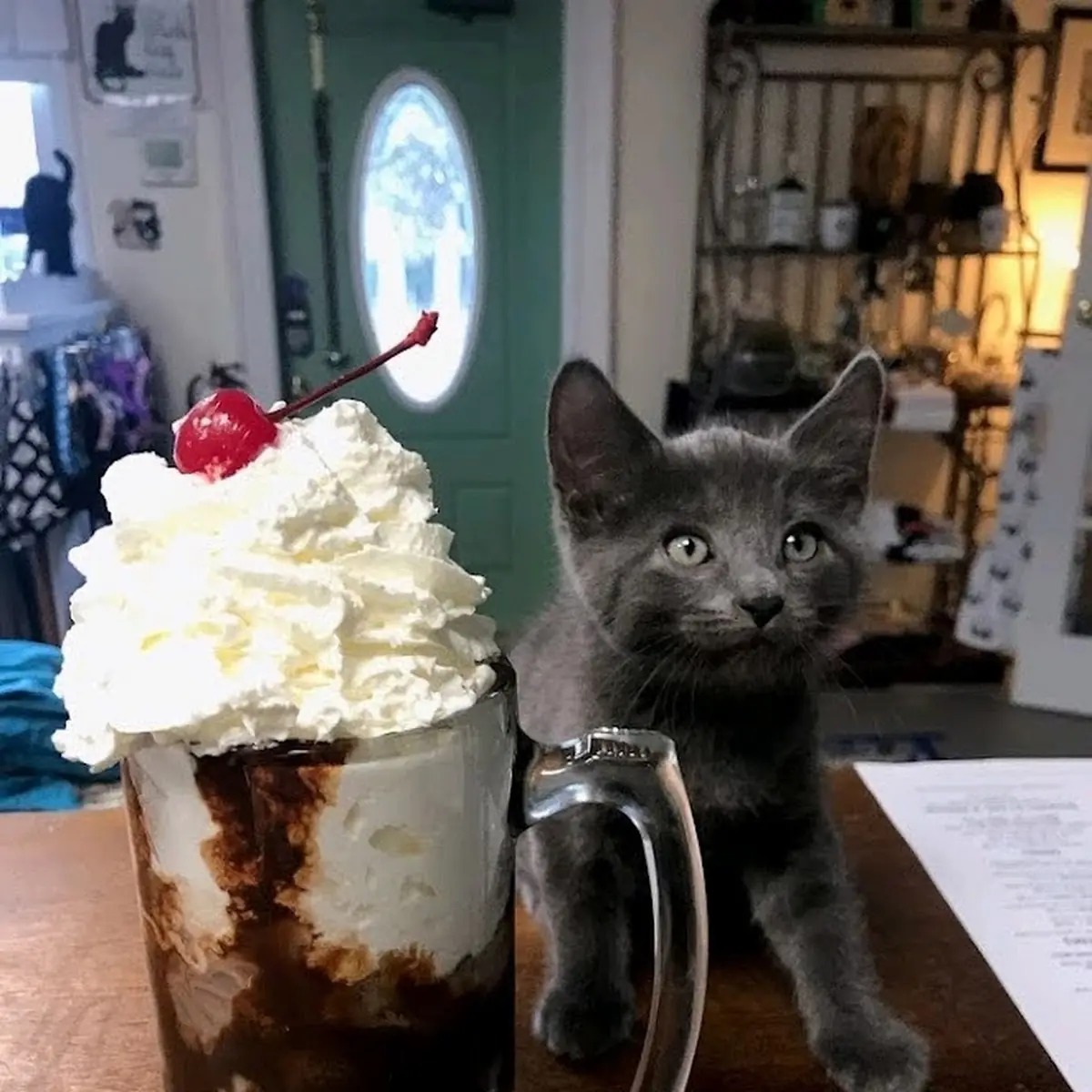 Gigantic Root Beer Float