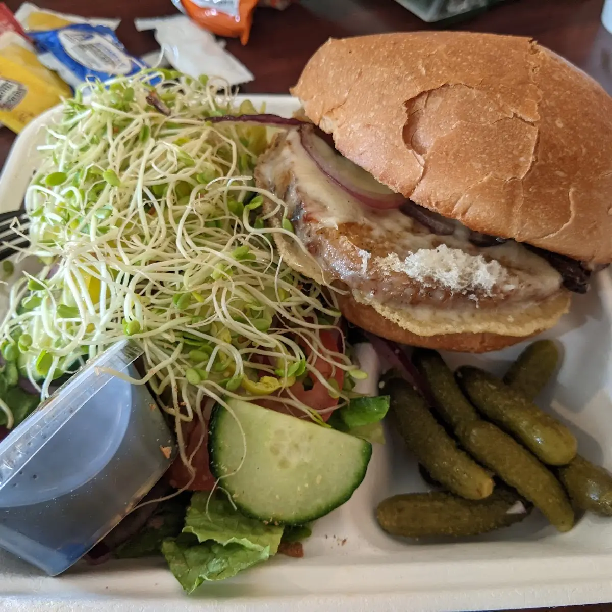 Veggie Patty Melt Burger