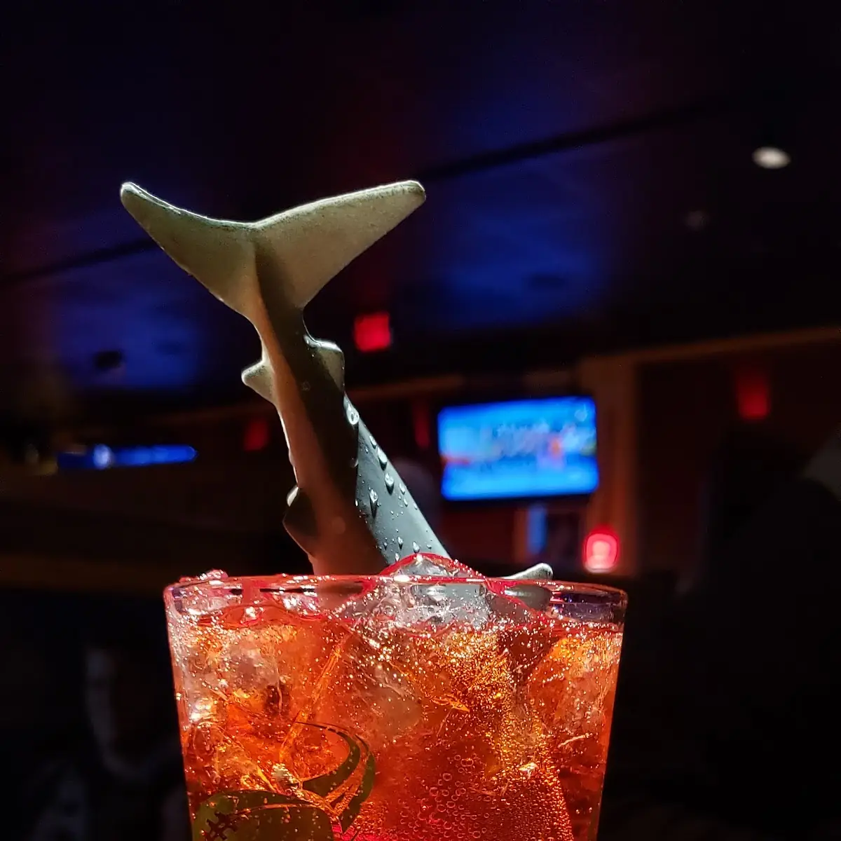 Shark Attack