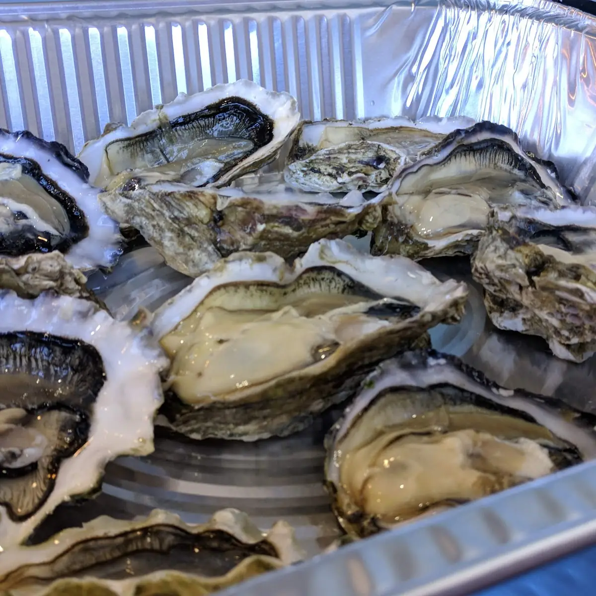 Oysters on the Half Shell