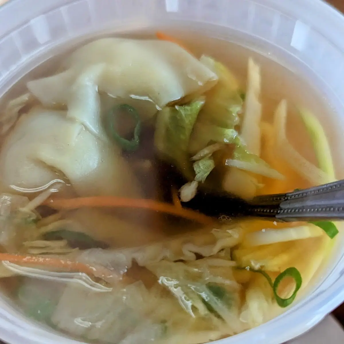 Wonton Soup