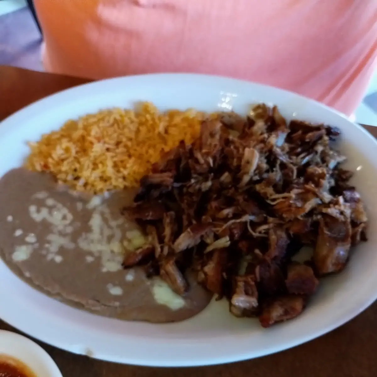 Birria Plate