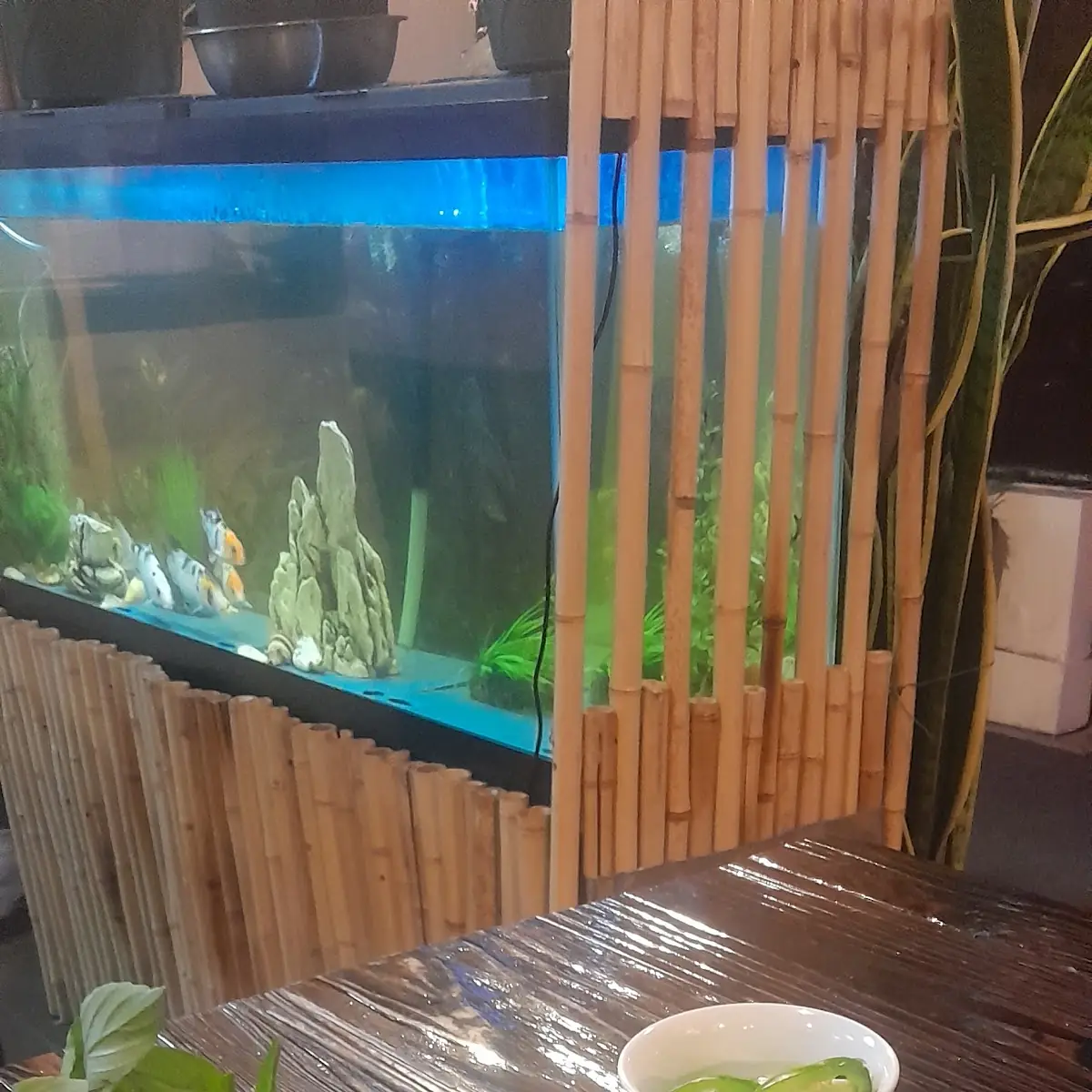 Chicken Pho