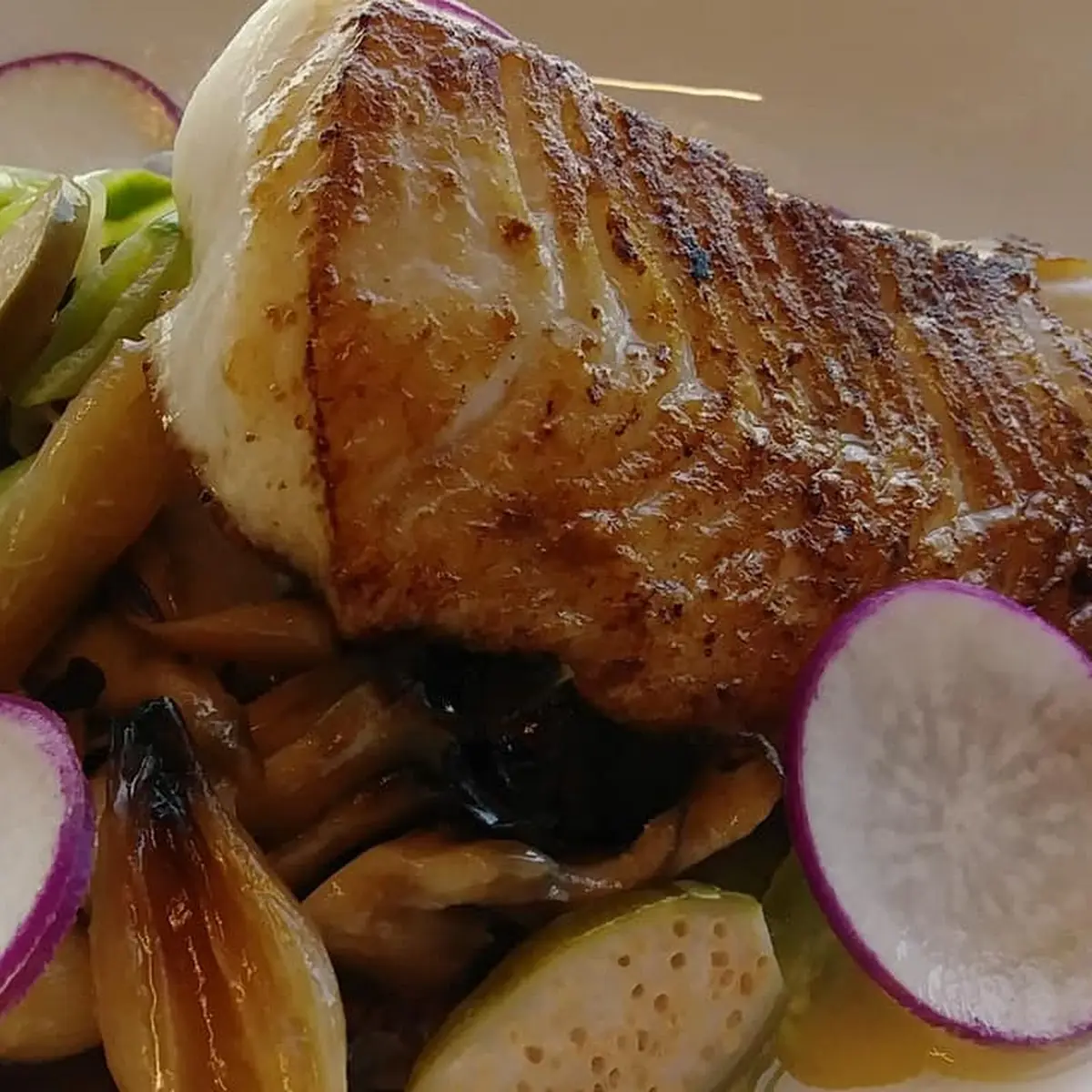 Black Cod