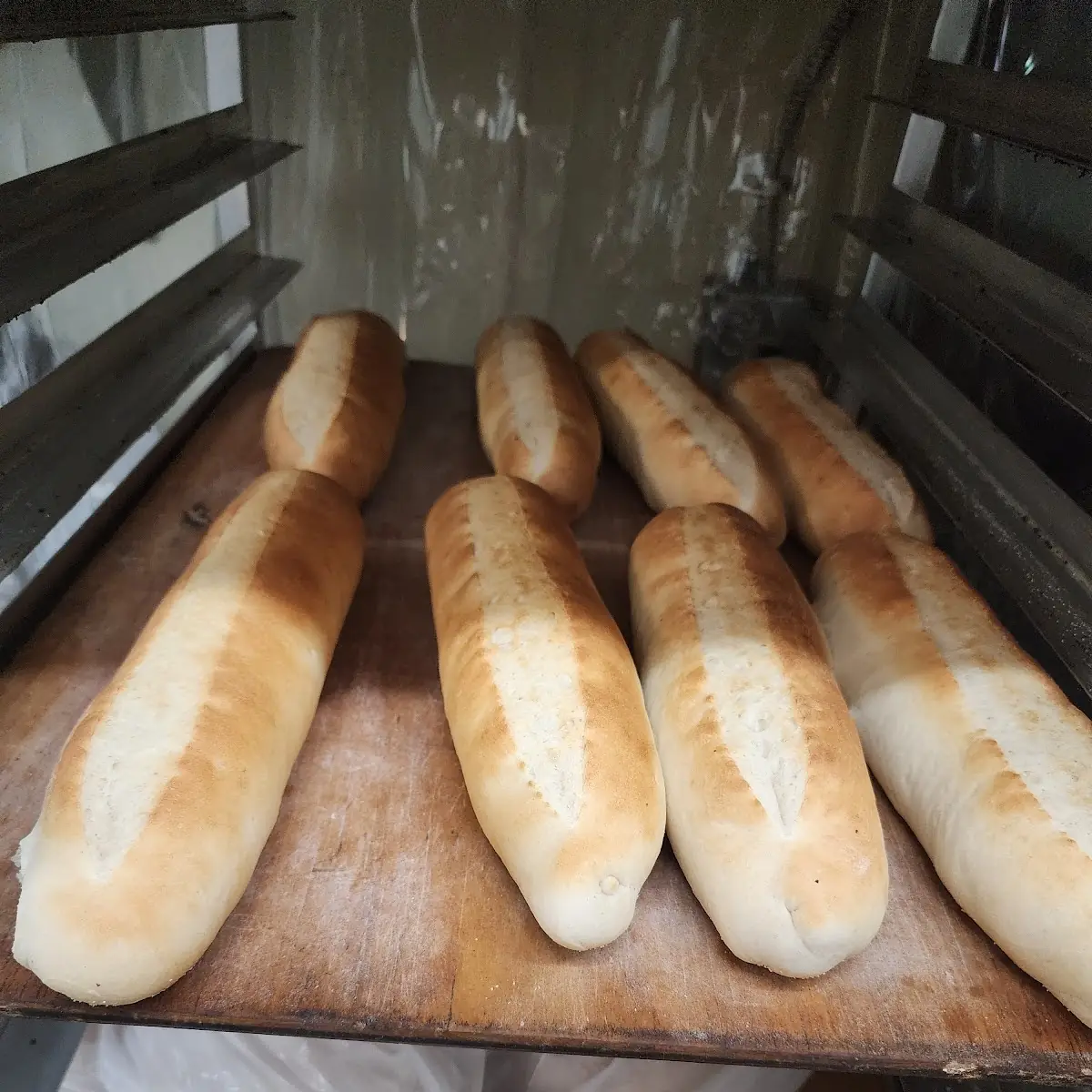 Fresh Baked Italian Sub Rolls