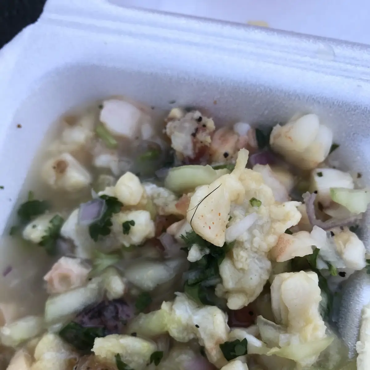 Ceviche Mixto