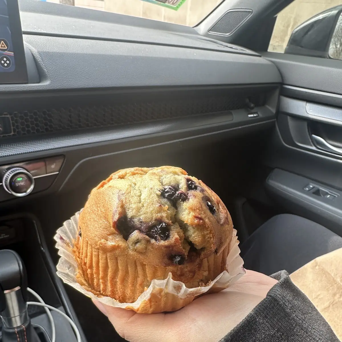 Blueberry Muffin