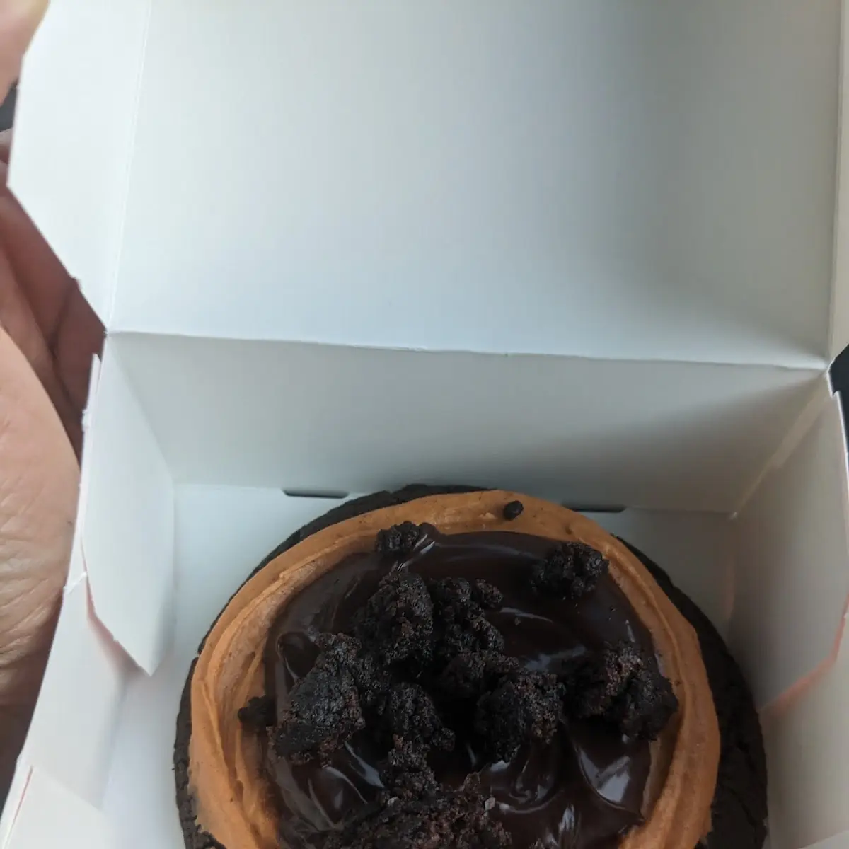 Brownie Pumpkin Cheesecake