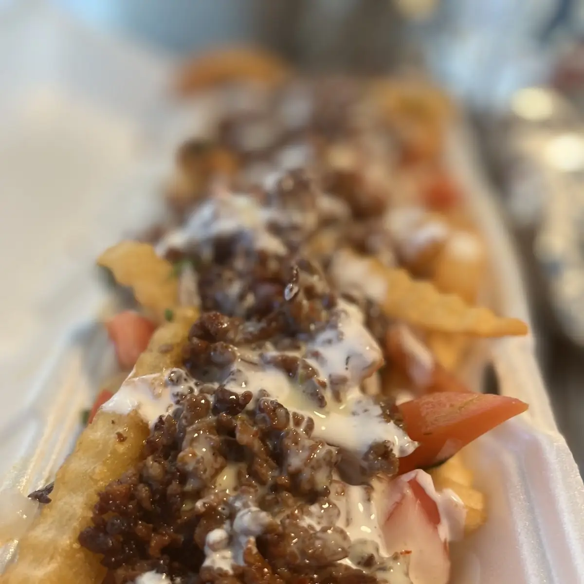 Cheesesteak & Fries
