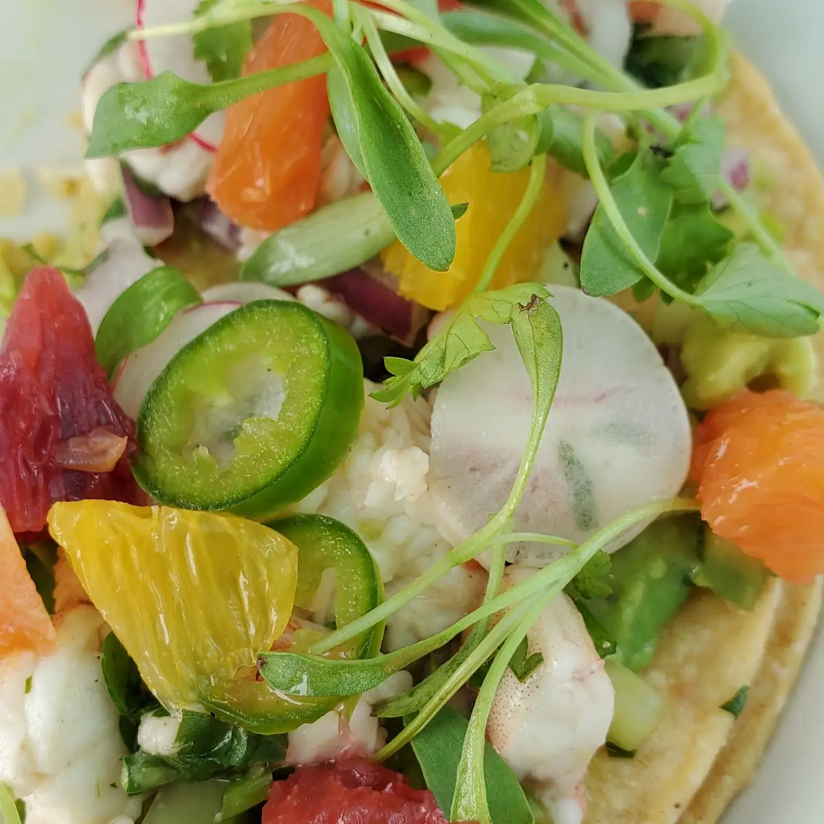 Mexican White Shrimp Ceviche