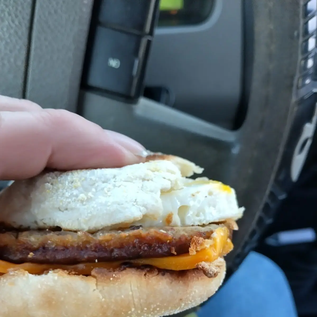 Spicy Saja Mcmuffin with Egg
