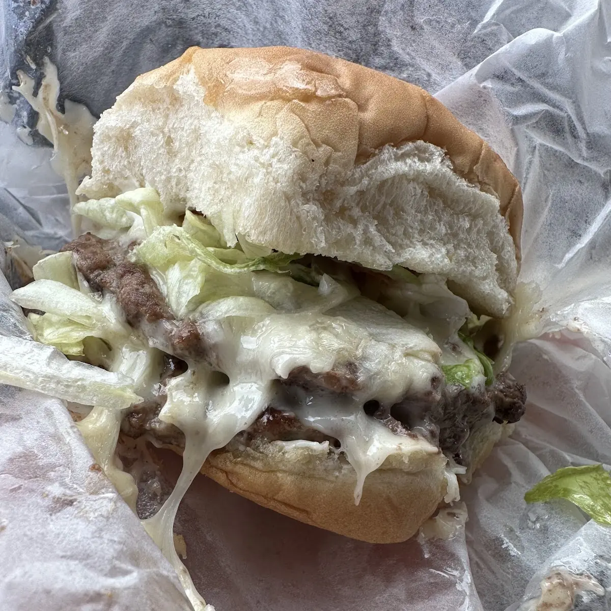 Double Cheese Burger