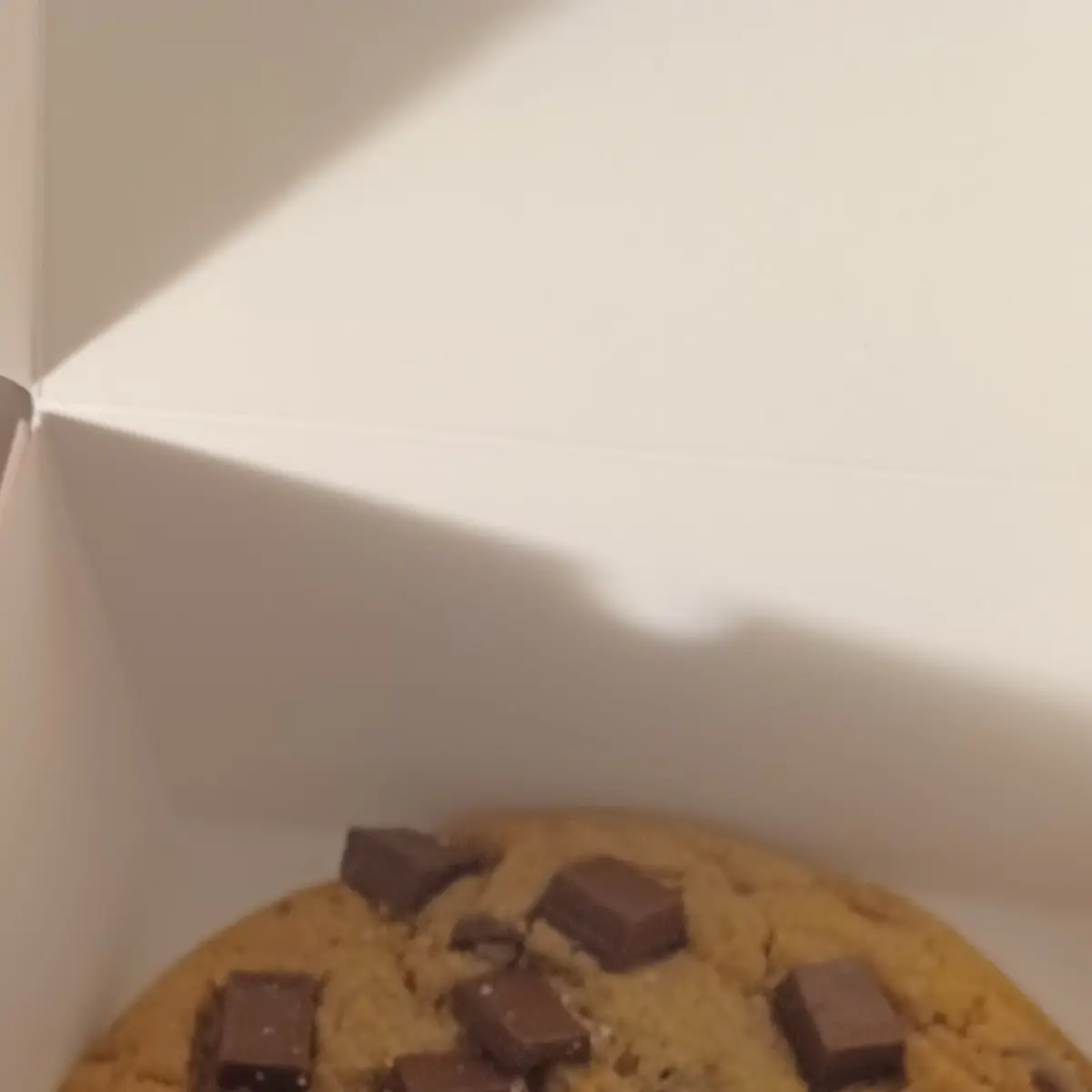 Chocolate Chip Cookie