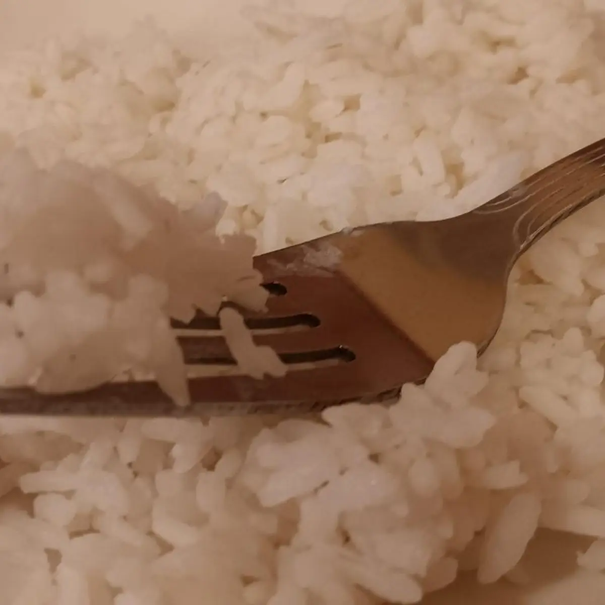 White Rice