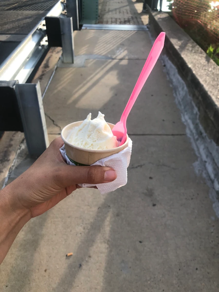 Vanilla Ice Cream