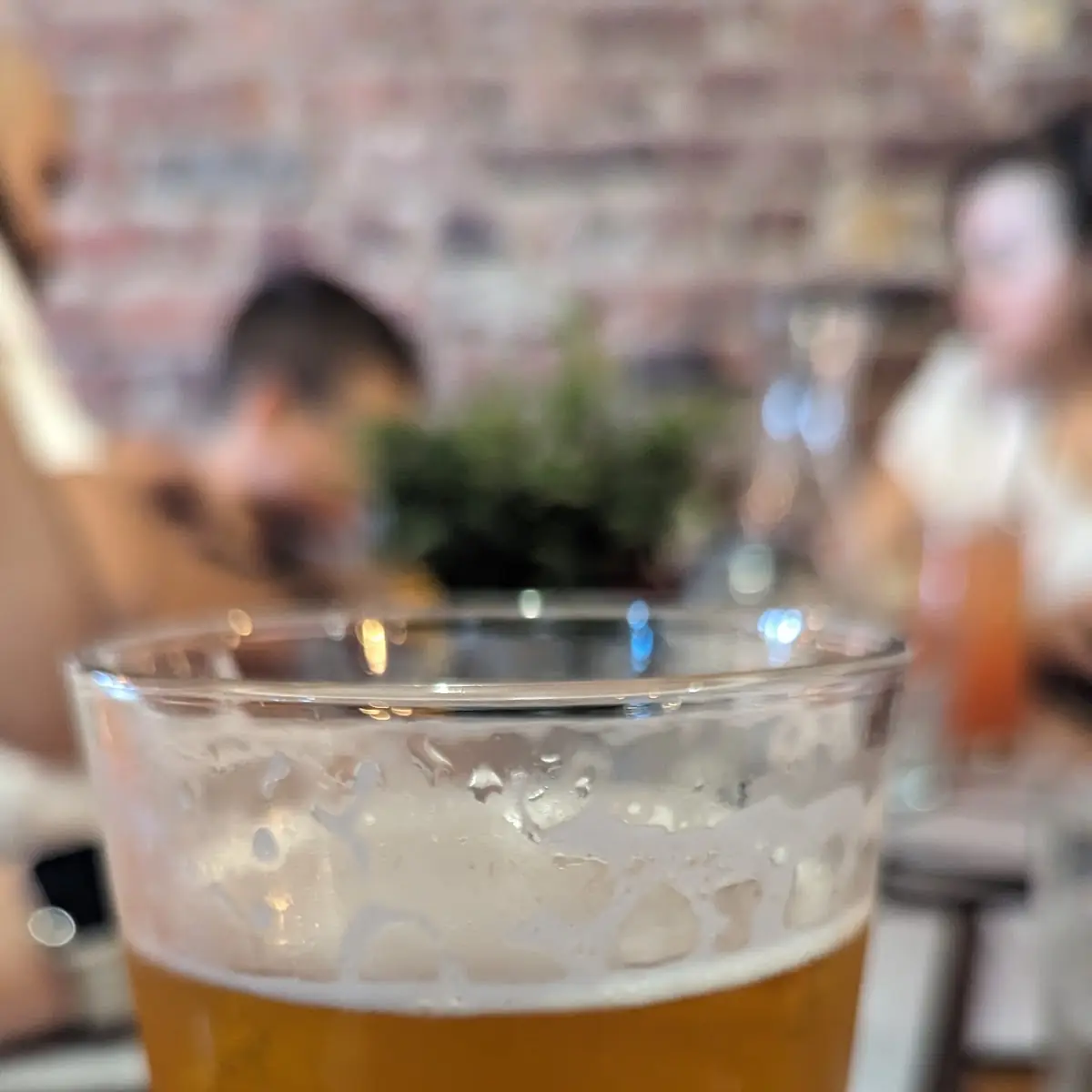 Lager Beer in Draft