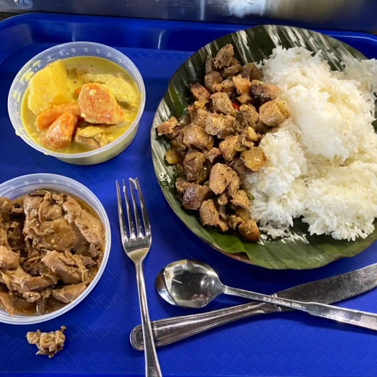 Adobo Chicken Curry