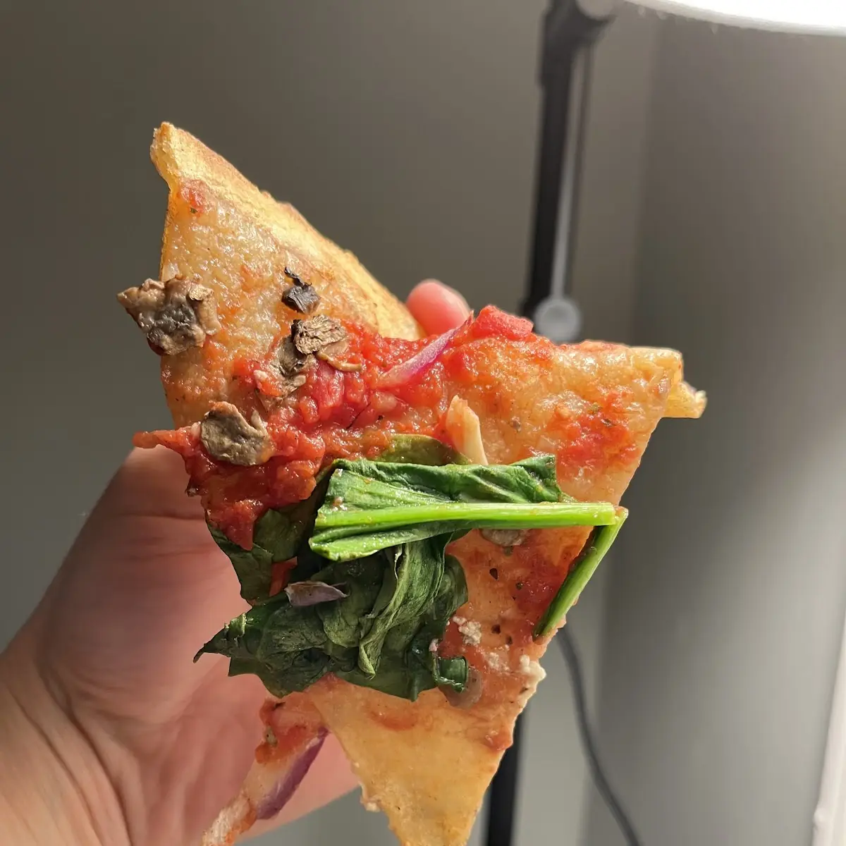 Slice of Pizza