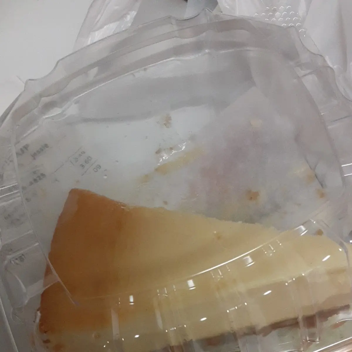 Cheese Cake 2 Comes in the Container