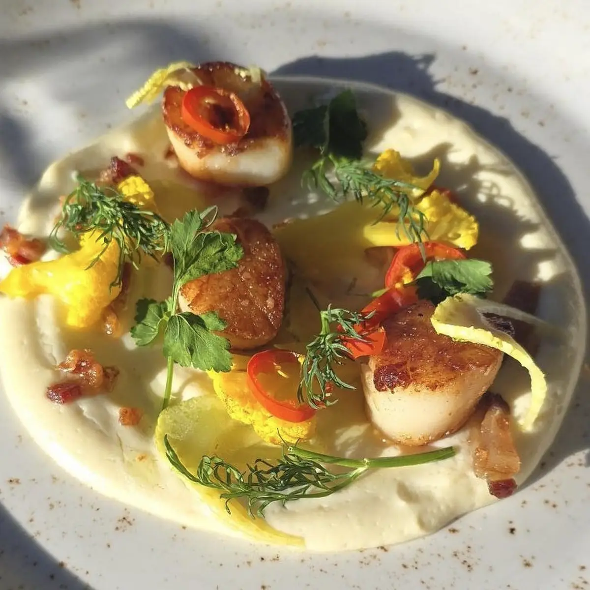 Wrapped Scallops