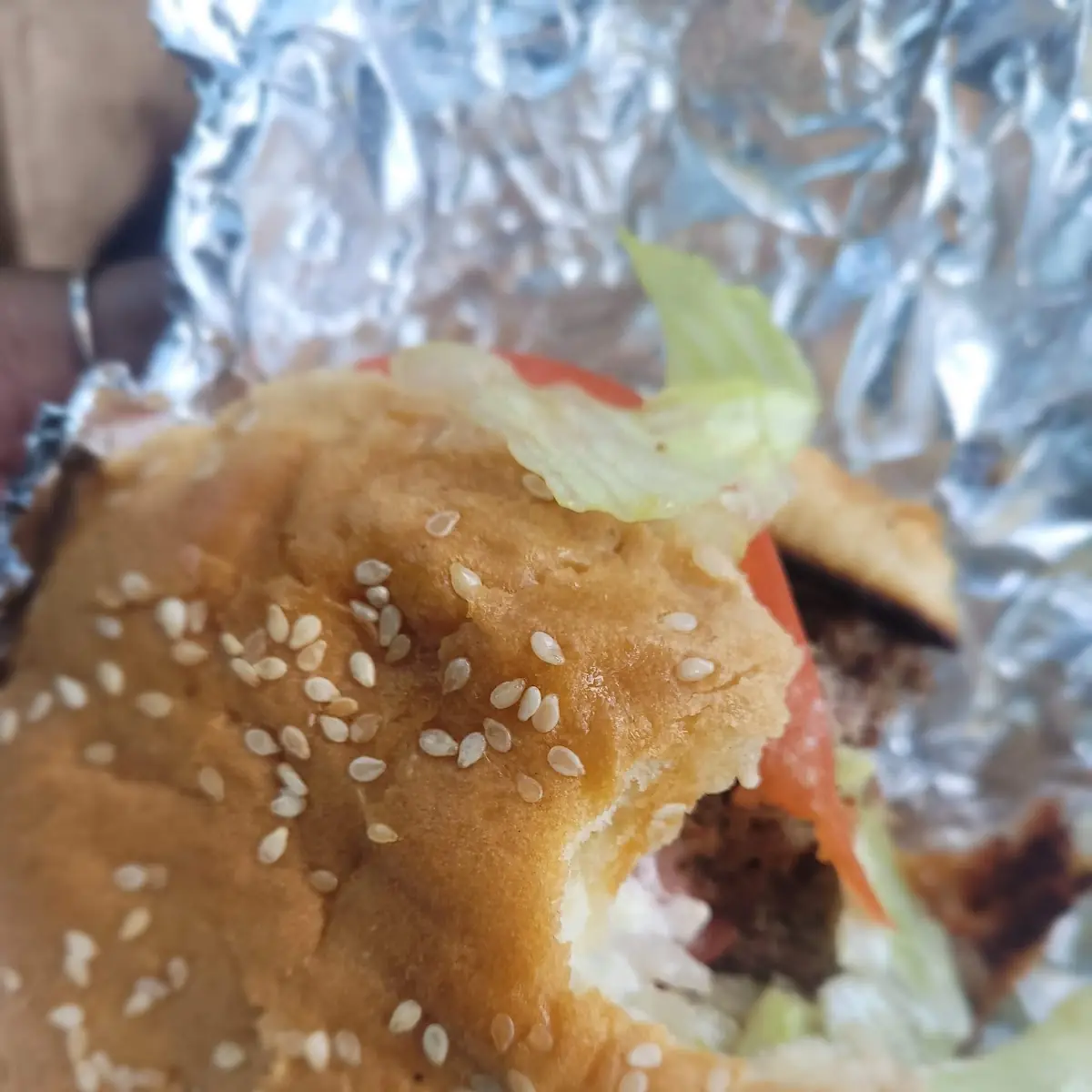 Double Hamburger