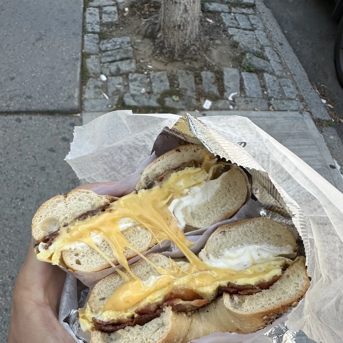 Bacon Egg Cheese Bagel