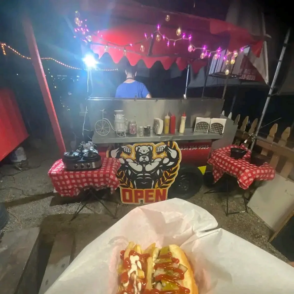 Hot Dog and Fries
