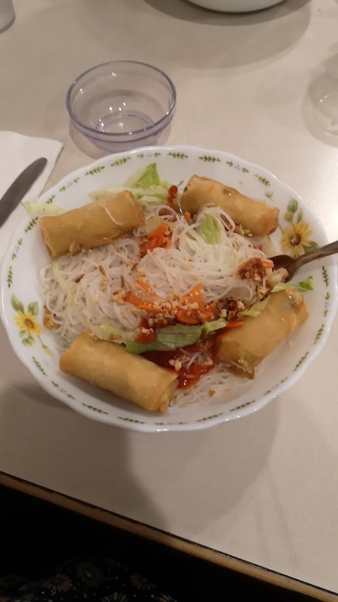 Vegetarian Spring Roll Vermicelli