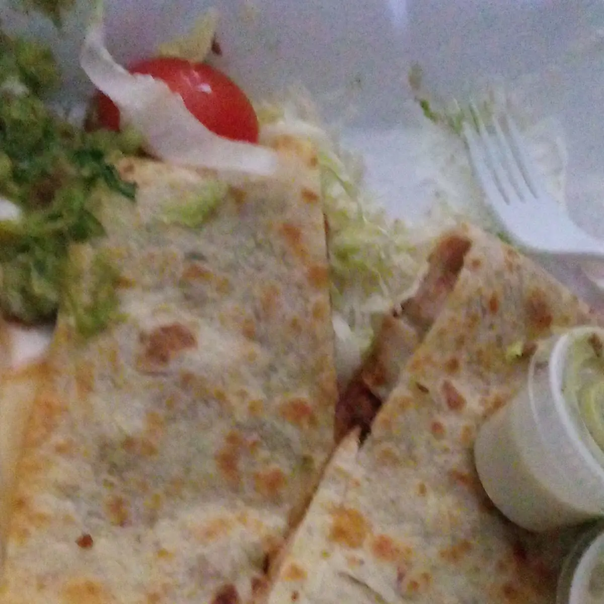 Chicken Quesadilla