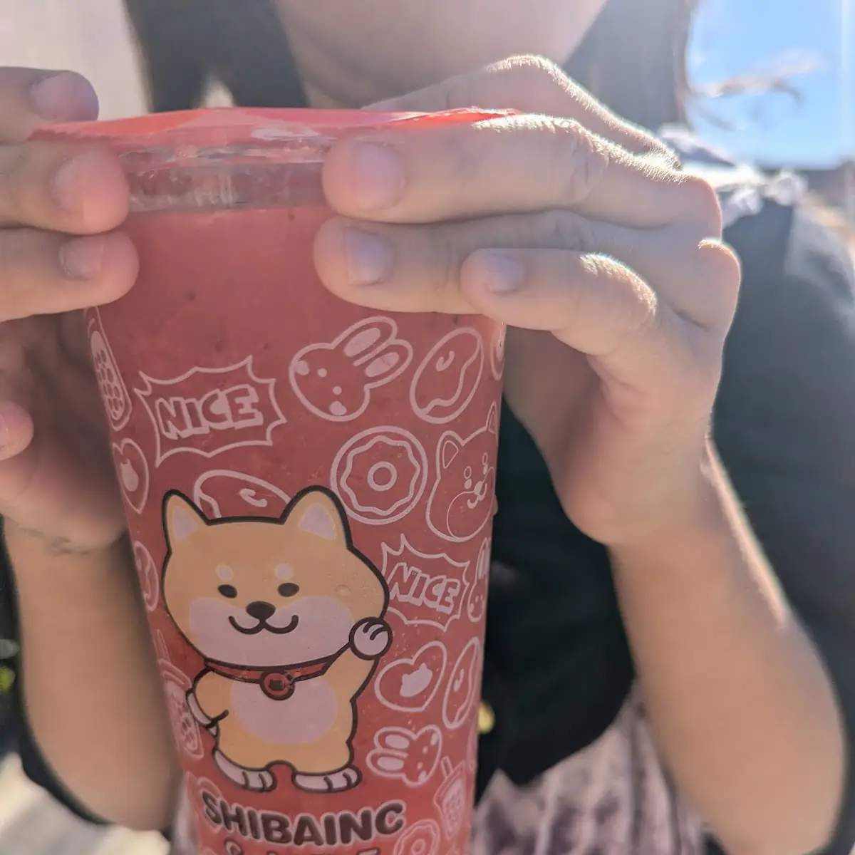Strawberry Lemon Slushy