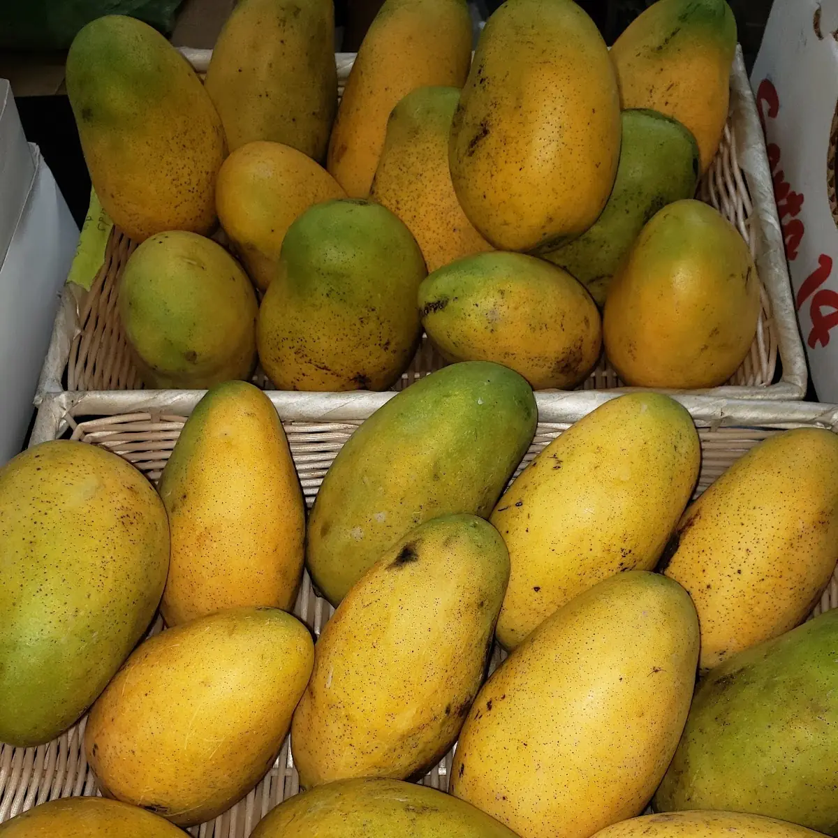 Island Mango