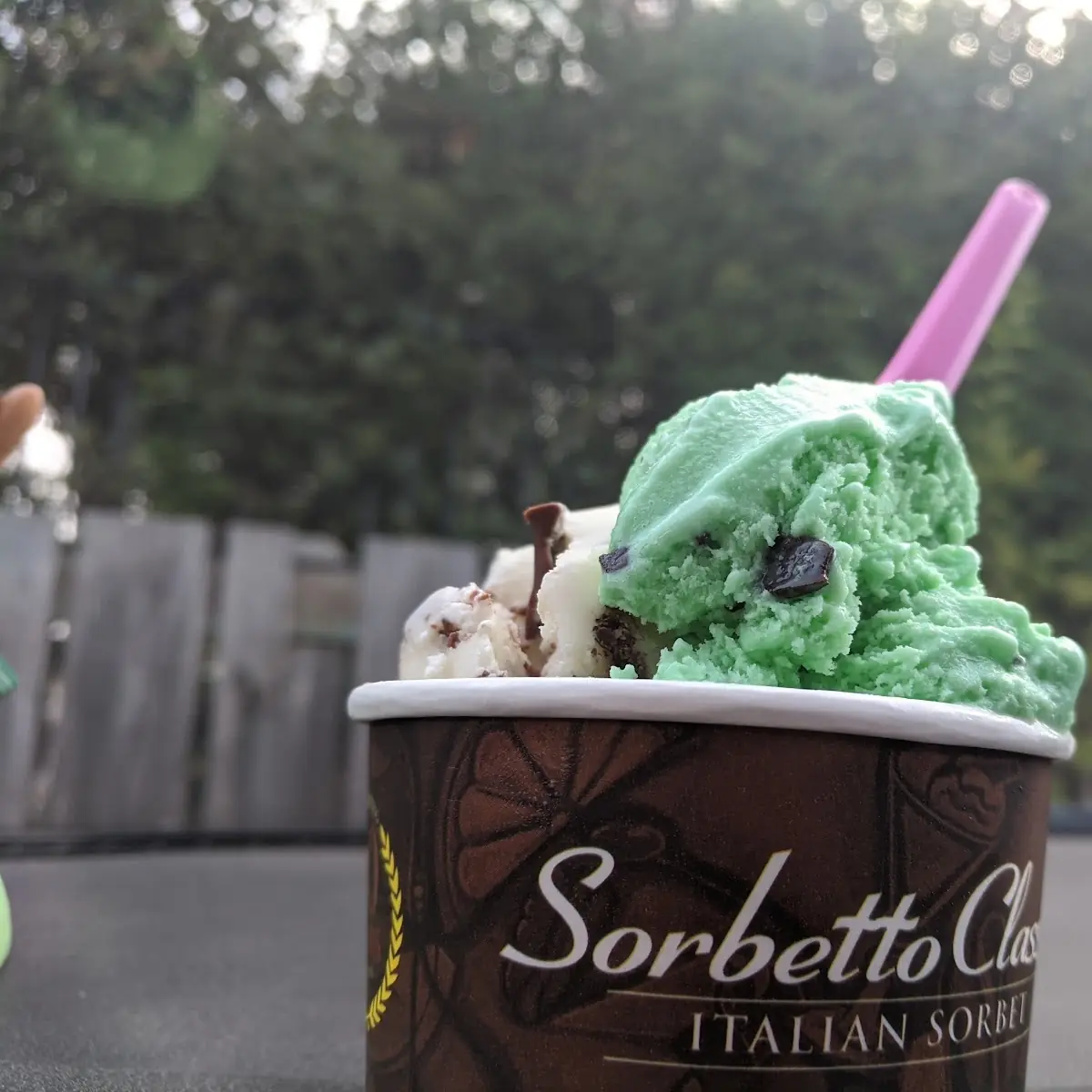 Gelato Pint