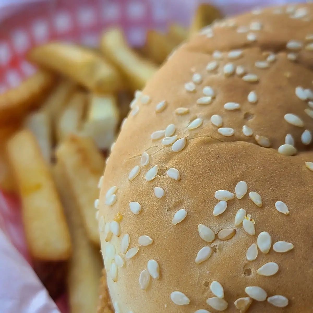 Kid's Jr Hamburger with Fries