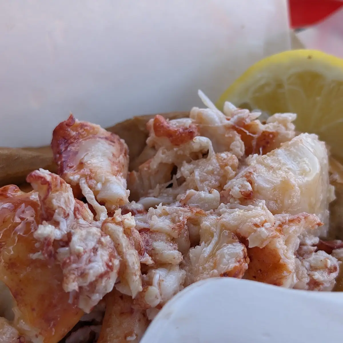 Lobster Roll