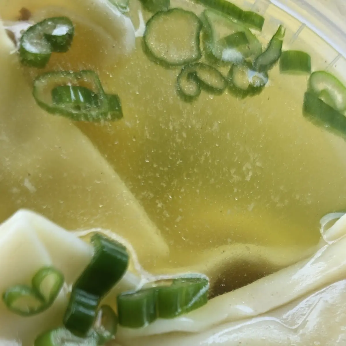 Wonton Soup